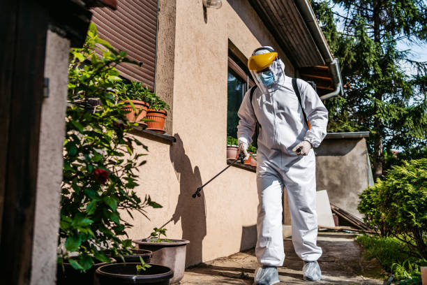 Best Exterminator Services  in Wtell, LA