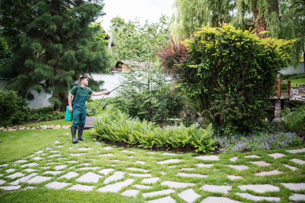 Best Ant Control Services  in Wtell, LA