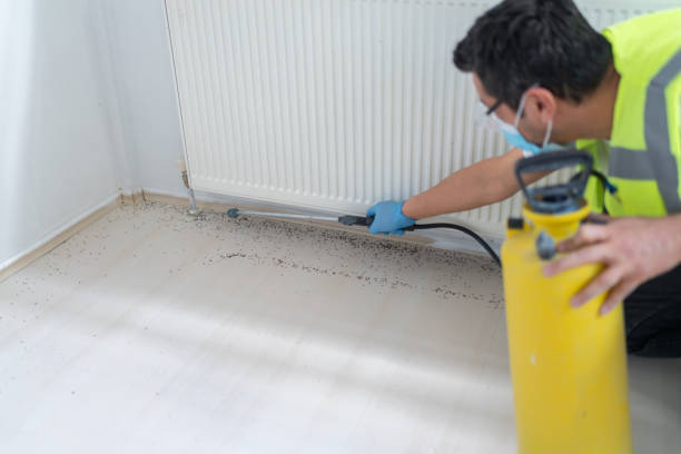 Best Termite Control Services  in Wtell, LA