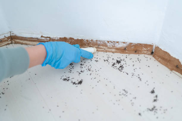 Best Affordable Pest Control Services  in Wtell, LA