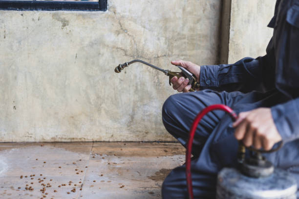 Best Local Pest Control Services  in Wtell, LA
